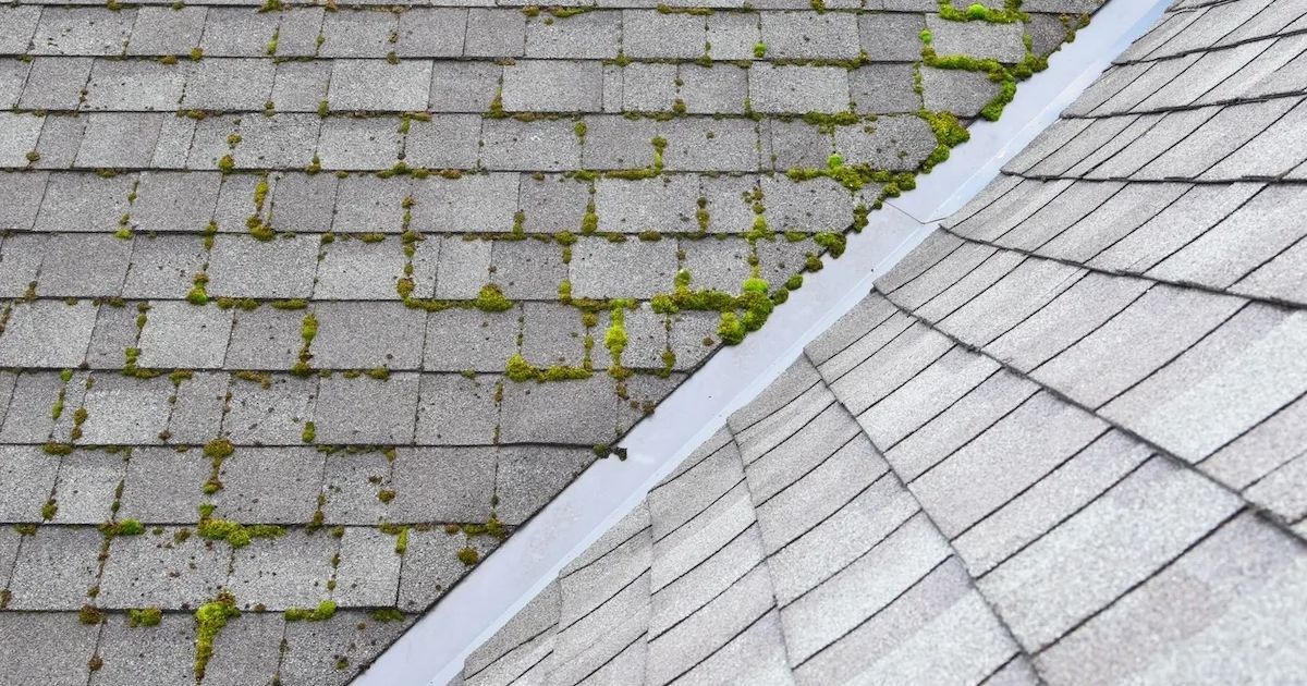 lowell roofing company
